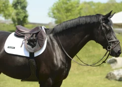 EQUIFIT ® Anatomical BellyGuard Girth with SheepsWool™ T-Foam Liner- Girths & Accessories