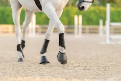 EQUIFIT ® Essential EveryDay Front Boot- Horse Boots