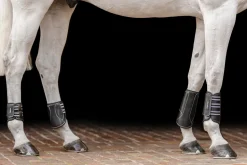 EQUIFIT ® MultiTeq Front Boots- Horse Boots