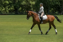 EQUIFIT ® MultiTeq Front Boots- Horse Boots