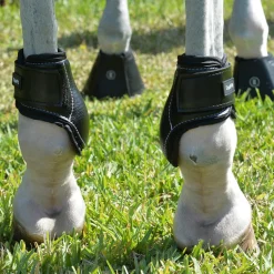 EQUIFIT ® Young Horse Boots with ImpacTeq®- Horse Boots