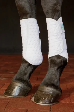 WORLD EQUSTRN BRNDS Equilibrium Original Stretch & Flex Flatwork Leg Wraps- Horse Boots