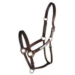 WORLD EQUSTRN BRNDS Equilibrium Stellar All-Weather Breakaway Halter- Halters