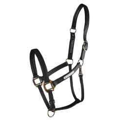 WORLD EQUSTRN BRNDS Equilibrium Stellar All-Weather Breakaway Halter- Halters