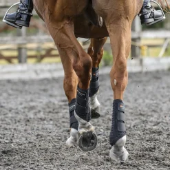 WORLD EQUSTRN BRNDS Equilibrium Stretch & Flex Training Wraps- Horse Boots