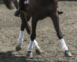 WORLD EQUSTRN BRNDS Equilibrium Stretch & Flex Training Wraps- Horse Boots