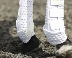 WORLD EQUSTRN BRNDS Equilibrium Stretch & Flex Training Wraps- Horse Boots