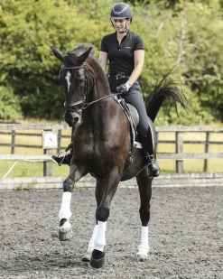 WORLD EQUSTRN BRNDS Equilibrium Stretch & Flex Training Wraps- Horse Boots