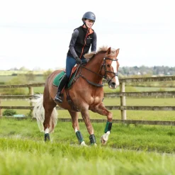 WORLD EQUSTRN BRNDS Equilibrium Tri-Zone Impact Front Boots- Horse Boots