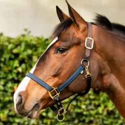 EQUINAVIA Pegasus Ribbon Breakaway Halter- Halters