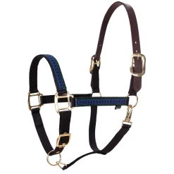 EQUINAVIA Pegasus Ribbon Breakaway Halter- Halters