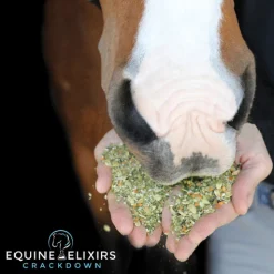 EQUINE ELIXIRS INC Equine Elixirs Crackdown®- Horse Supplements