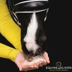 EQUINE ELIXIRS INC Equine Elixirs Electrofresh- Horse Supplements