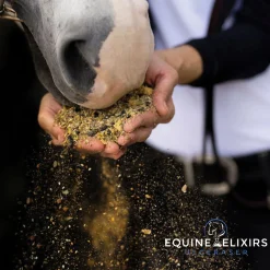 EQUINE ELIXIRS INC Equine Elixirs Ulceraser®- Horse Supplements