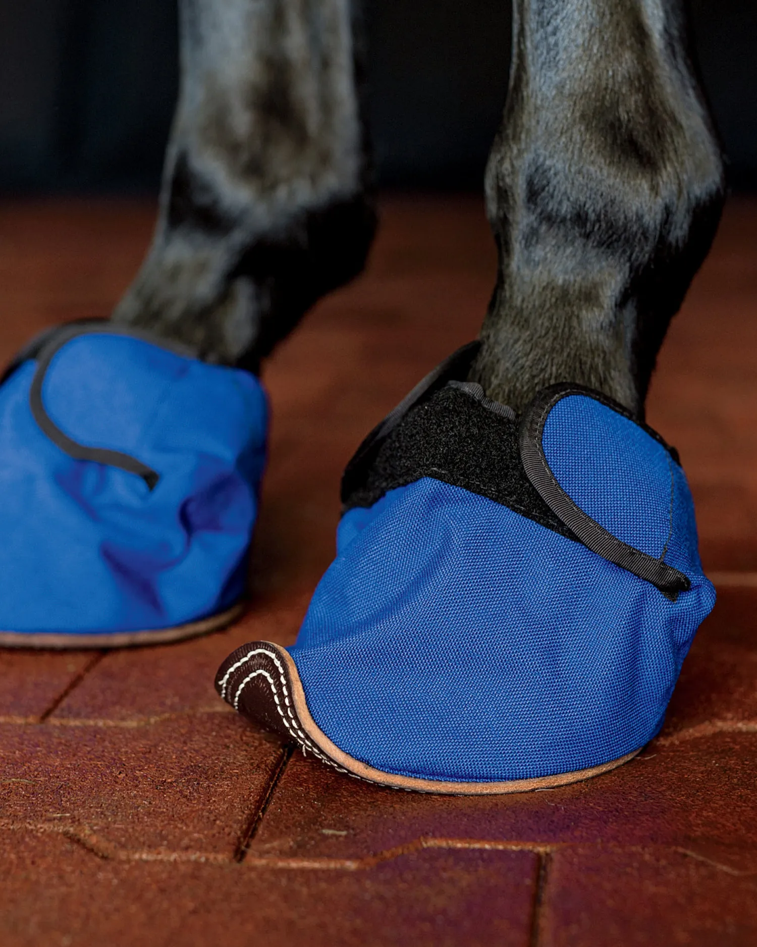 BLUEGRASS ANIMAL Equine Slipper® Horse Boot- Therapy|Hoof & Hock Boots