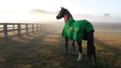 BLUEGRASS ANIMAL EquiOtic™ Daily Packets-30 day- Horse Supplements