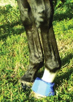 EZ ICE Hoof - Founder Pack- Therapy|Hoof & Hock Boots