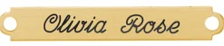 DOVER DROPSHIP Fancy Martingale Nameplate- Nameplates