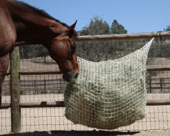 KENSINGTON Freedom Feeder Extended Day Net- Stable Hardware