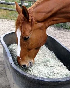 KENSINGTON Freedom Feeder Full Bale Net- Stable Hardware