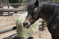 KENSINGTON Freedom Feeder® Trailer Size- Trailering|Stable Hardware