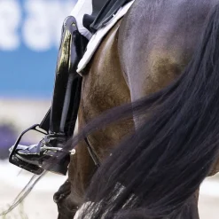 FREEJUMP Air Pure Fillis Stirrup- Stirrup Irons