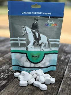 INTREPID INTL Funky Unicorn Gastric Support Antacid Chews - 7 oz.- Horse Treats|Horse Treats
