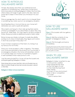 EQUESTRIBEV Gallagher’s Water™ All-Natural Equine Hydration Beverage, 12 Sachets- Horse Supplements
