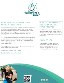 EQUESTRIBEV Gallagher’s Water™ Balanced Electrolytes & Trace Minerals- Horse Supplements