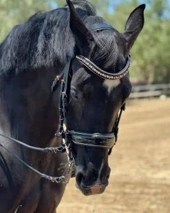 HALTER EGO Aurelia Rose Gold Black Patent Double Bridle- English Bridles