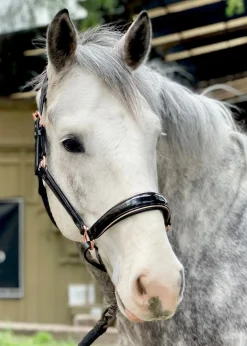 HALTER EGO Aurelia Rose Gold Halter- Halters
