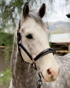 HALTER EGO Aurelia Rose Gold Halter- Halters