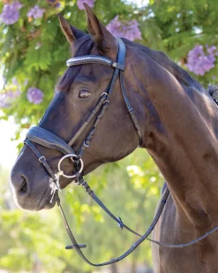 HALTER EGO ® Doc Marten Snaffle Bridle- English Bridles