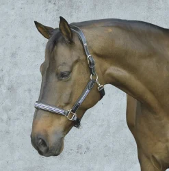 JPC EQUESTRIAN HDR Padded Jewel Halter- Halters