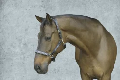 JPC EQUESTRIAN HDR Padded Jewel Halter- Halters