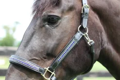 JPC EQUESTRIAN HDR Padded Jewel Halter- Halters