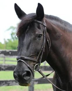 JPC EQUESTRIAN Henri de Rivel Piaffe Mono Crown Bridle with Flash Noseband & Patent Leather- English Bridles