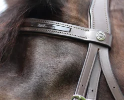 JPC EQUESTRIAN Henri de Rivel Piaffe Mono Crown Bridle with Flash Noseband & Patent Leather- English Bridles