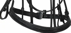 JPC EQUESTRIAN Henri de Rivel Piaffe Mono Crown Bridle with Flash Noseband & Patent Leather- English Bridles
