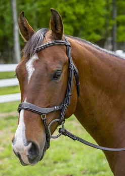 JPC EQUESTRIAN Henri de Rivel Pro Anatomical Bridle- English Bridles
