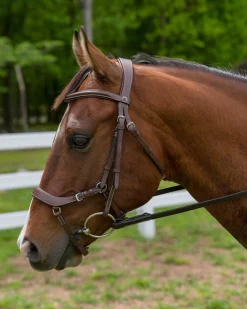 JPC EQUESTRIAN Henri de Rivel Pro Anatomical Bridle- English Bridles