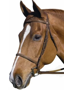 JPC EQUESTRIAN Henri de Rivel Pro Fancy Raised Bridle with Laced Reins- English Bridles
