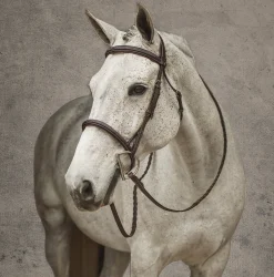 JPC EQUESTRIAN Henri de Rivel Pro Mono Crown Fancy-Stitched Padded Bridle with Laced Reins- English Bridles