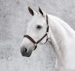 JPC EQUESTRIAN Henri de Rivel Stress Free Halter with Fancy Contrast Stitching- Halters