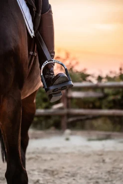 GEM-HERM SPRENGER Herm Sprenger® Flexcite Stirrups- Stirrup Irons