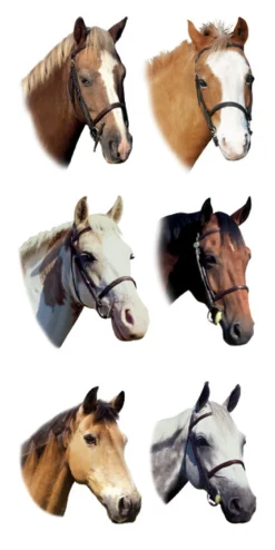 KELLEY AND COMPANY Horse Stickers-Kids Gifts|Home Décor