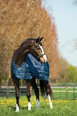 HORSEWARE ® Ireland 100 Gram Blanket Liner- Blanket Liners