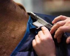 HORSEWARE ® Ireland 300 Gram Blanket Liner- Blanket Liners