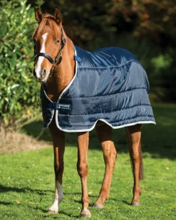 HORSEWARE ® Ireland 200 Gram Pony Blanket Liner- Blanket Liners