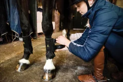 HORSEWARE ® Ireland Adagio Boots- Horse Boots